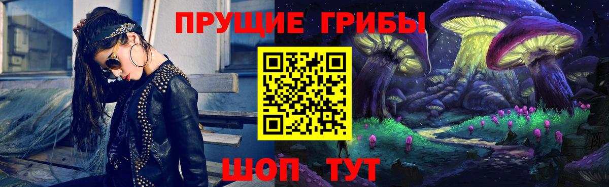 Назрань  где найти   Вход с VPN  Галлюциногенные грибы GOLDEN TEACHER 