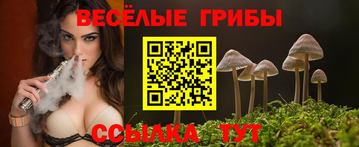 Псилоцибиновые грибы MAGIC MUSHROOMS Назрань